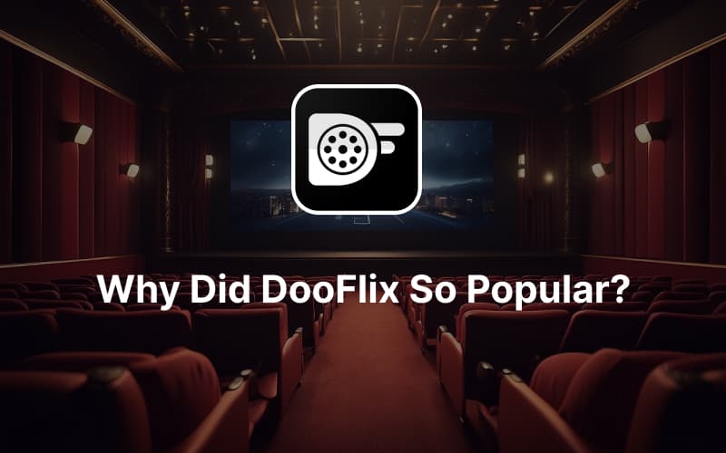 DooFlix-Gained-so-Popular